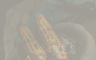 cuisin